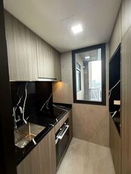 Irwell Hill Residences (D9), Apartment #554743491